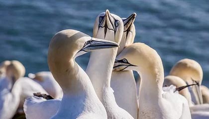 楚雄最新的高价找中介取公积金违法吗方法分享(楚雄中介取公积金怎么收费教程)