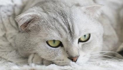 楚雄最新的高价医保个人账户余额微信查询方法分享(楚雄医保查询个人账户明细怎么查微信教程)